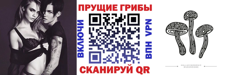 omg как зайти Сухиничи Псилоцибиновые грибы прущие грибы